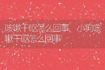 咳嗽干呕怎么回事,小狗咳嗽干呕怎么回事