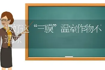 设好这“三膜”温室作物不遭冻