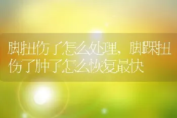 脚扭伤了怎么处理,脚踝扭伤了肿了怎么恢复最快