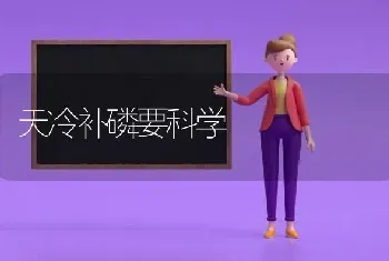 天冷补磷要科学