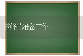 养蜂的准备工作