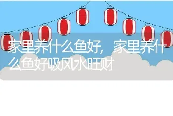 家里养什么鱼好