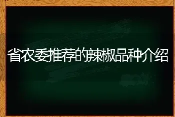 省农委推荐的辣椒品种介绍