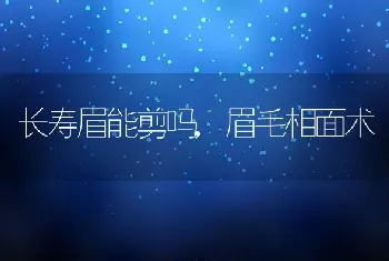 长寿眉能剪吗