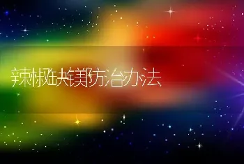 辣椒缺镁防治办法