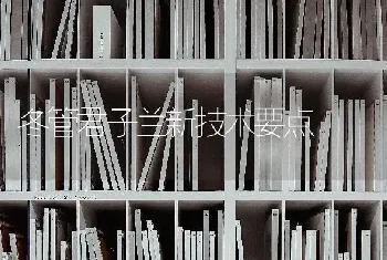 冬管君子兰新技术要点