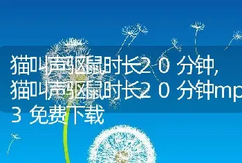 猫叫声驱鼠时长20分钟,猫叫声驱鼠时长20分钟mp3免费下载