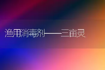 渔用消毒剂——三亩灵