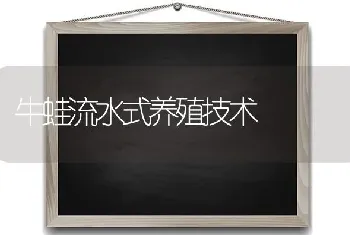 牛蛙流水式养殖技术